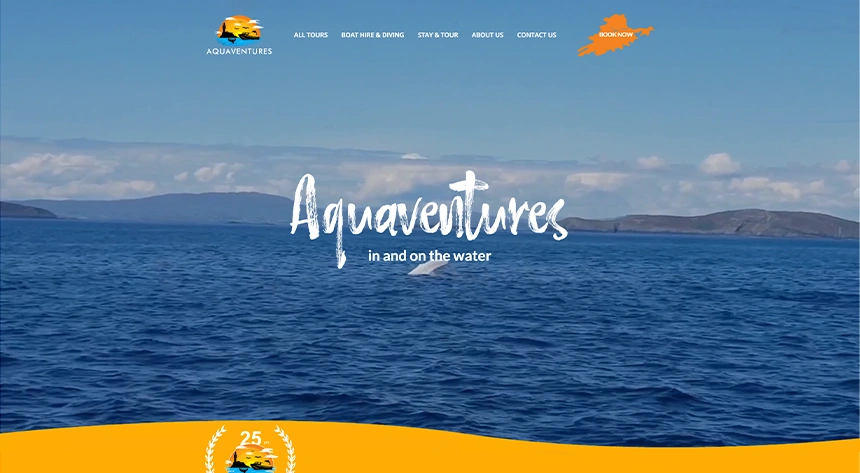 Website design Responsive banner/Aquaventures